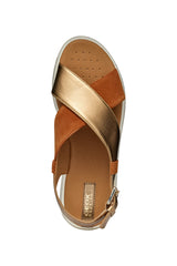 D DANDRA B- D45NNB0BN22CB62Q