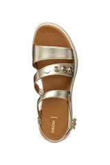 D MELICONIA F- D550EF000BNC2012