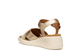D MELICONIA G- D550EG0AJ11C2L1S