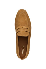 D MANTINEA A- D552EA00021C6001