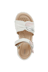 J S. HAITI G. C- J258ZC0BCHIC0406