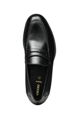 U REZZONICO A- U558QA00043C9999