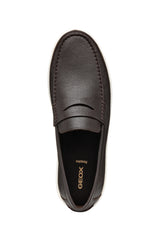 U AVOLA A- U55GSA00046C6009