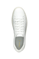 U SERIFOS A- U55LSA000BUC1000