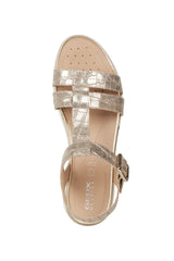 D HIVER B-D02GZB00040C2012