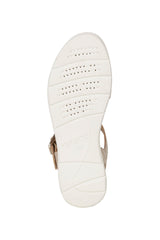 D HIVER B-D02GZB00040C2012