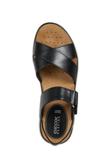 D DANDRA E-D15NNE00085C9999