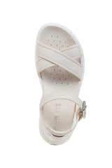 D XAND 2S B-D15PAB00033C1002