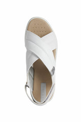 D DANDRA A-D25NNA0BC47C1000