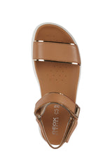 D XAND 2.1S B-D25SZB046BNC5F2L