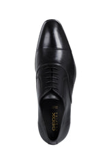 UOMO HIGH LIFE C-U0299C00043C9999