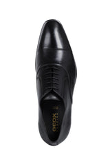 U HIGH LIFE C-U0299C00043C9999