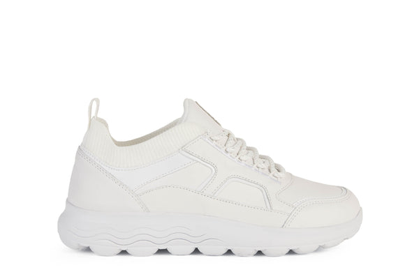 D SPHERICA C- D26NUC0856KC1000