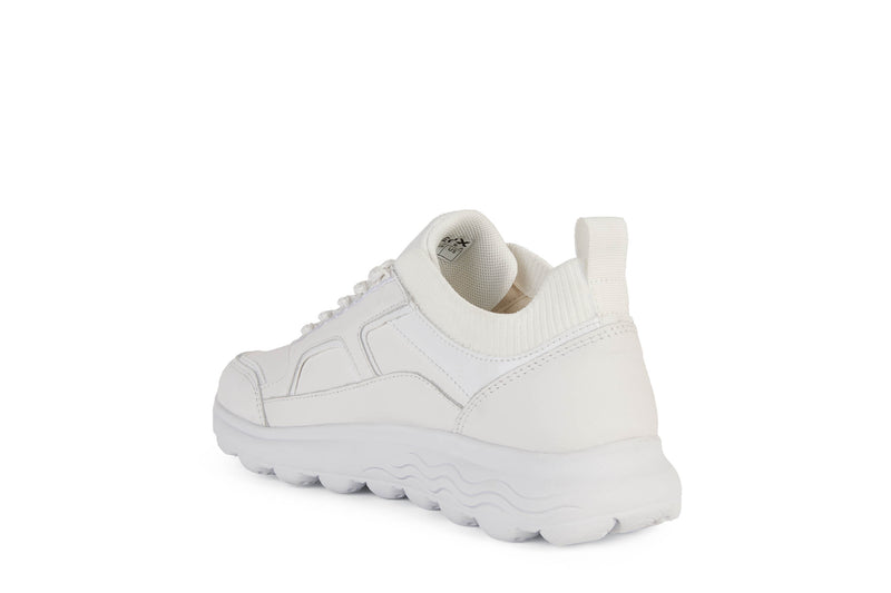 D SPHERICA C- D26NUC0856KC1000