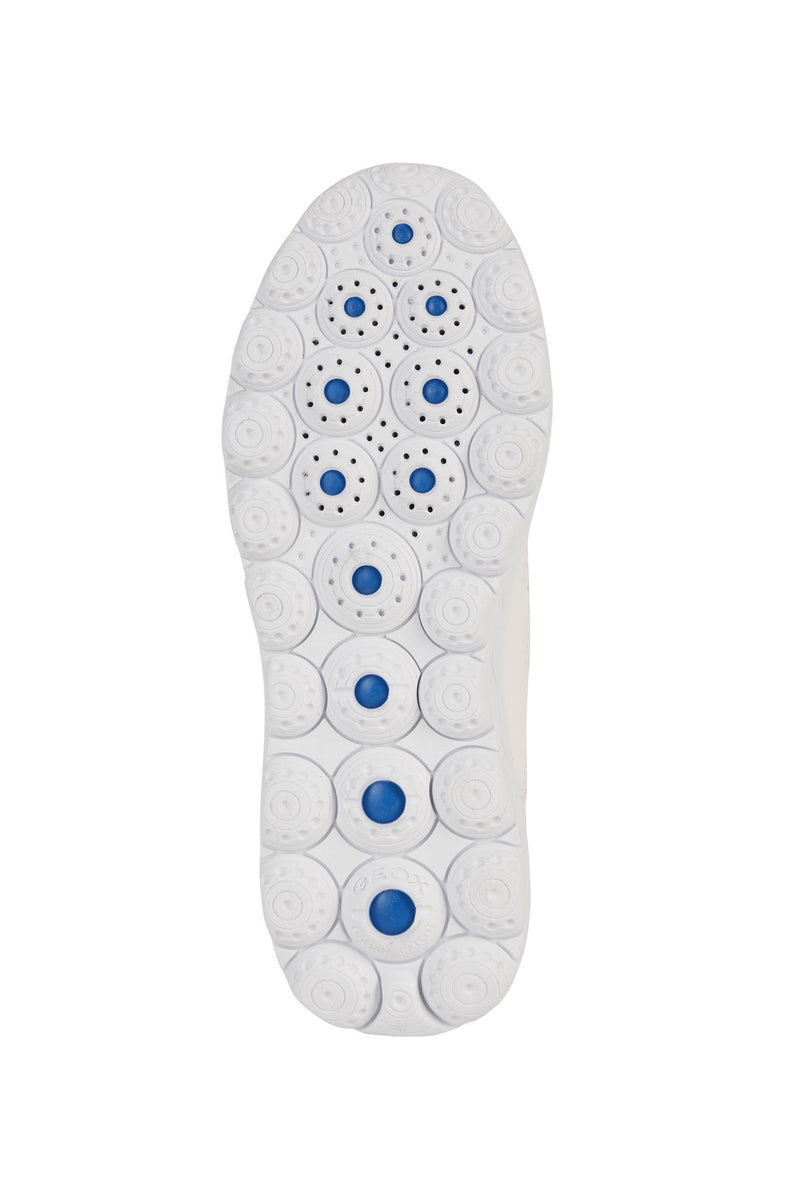 D SPHERICA C- D26NUC0856KC1000