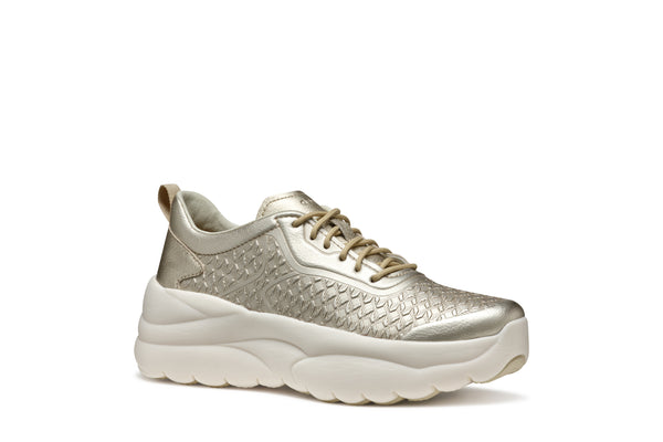 D XTORS B- D551FB000CFC2012