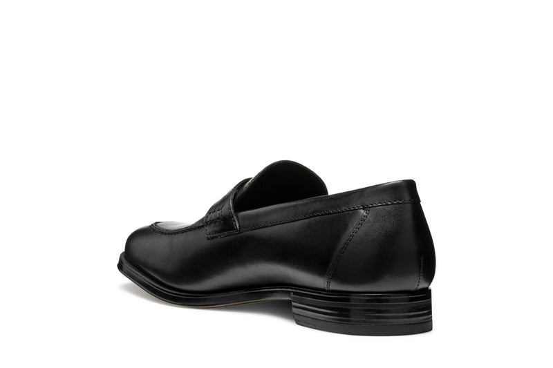 U REZZONICO A- U558QA00043C9999