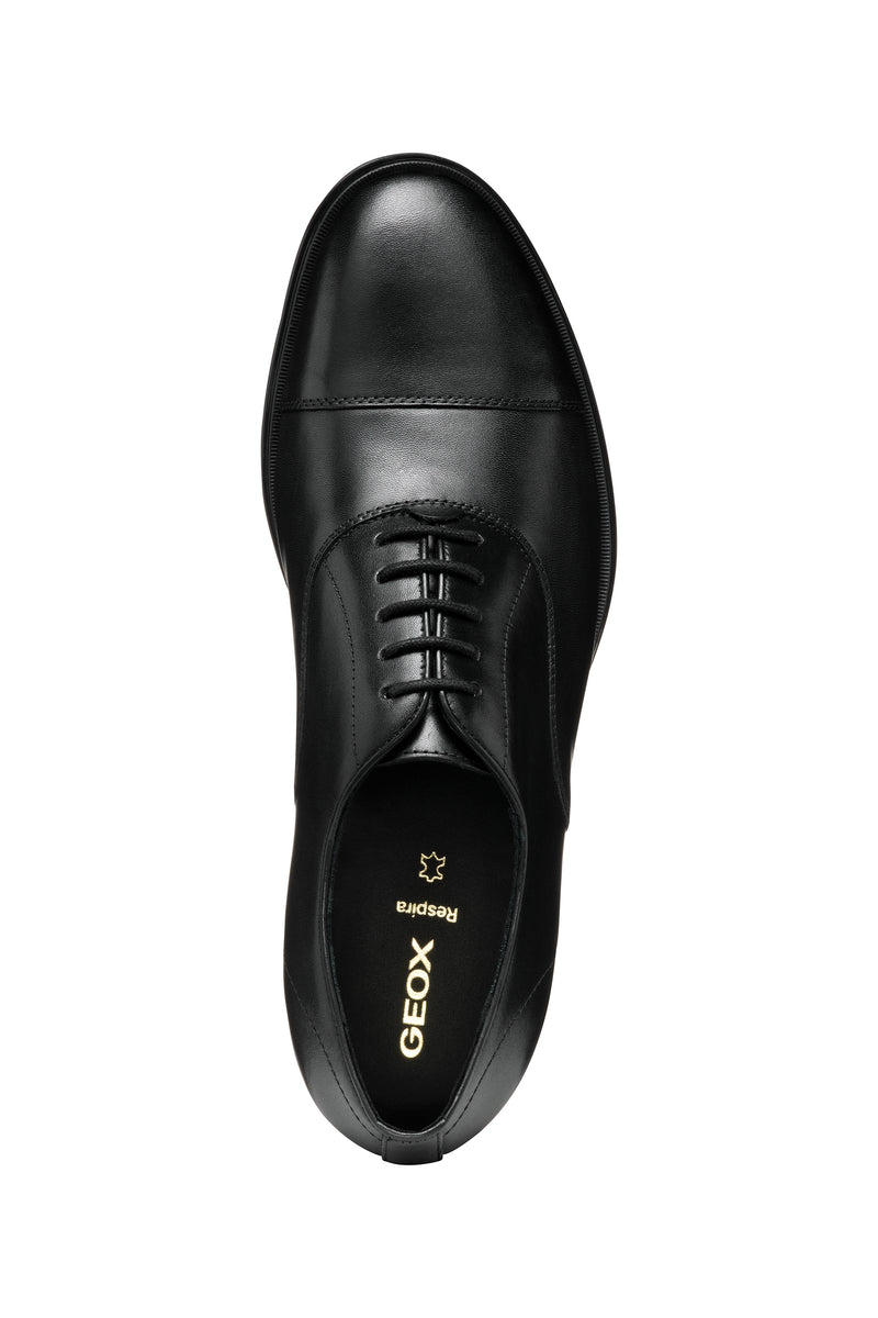 U REZZONICO B-U558QB00043C9999