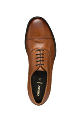 U REZZONICO B- U558QB000LMC6001