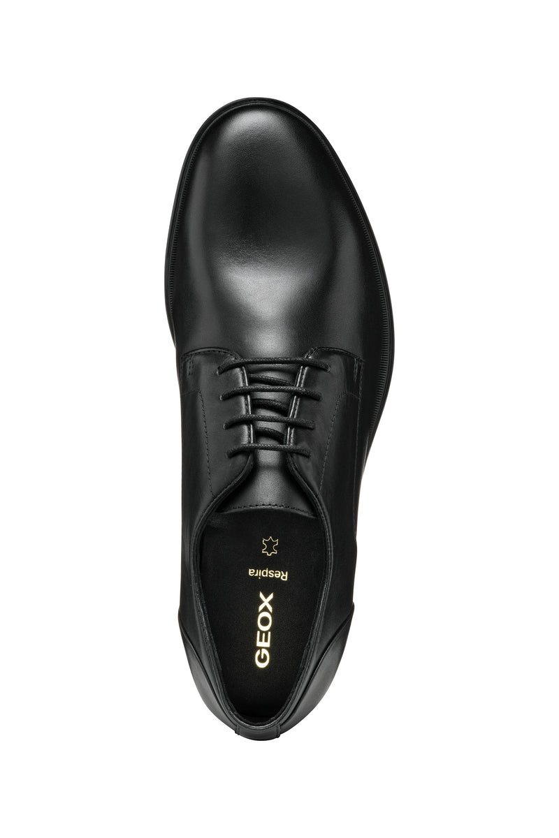 U REZZONICO C- U558QC00043C9999